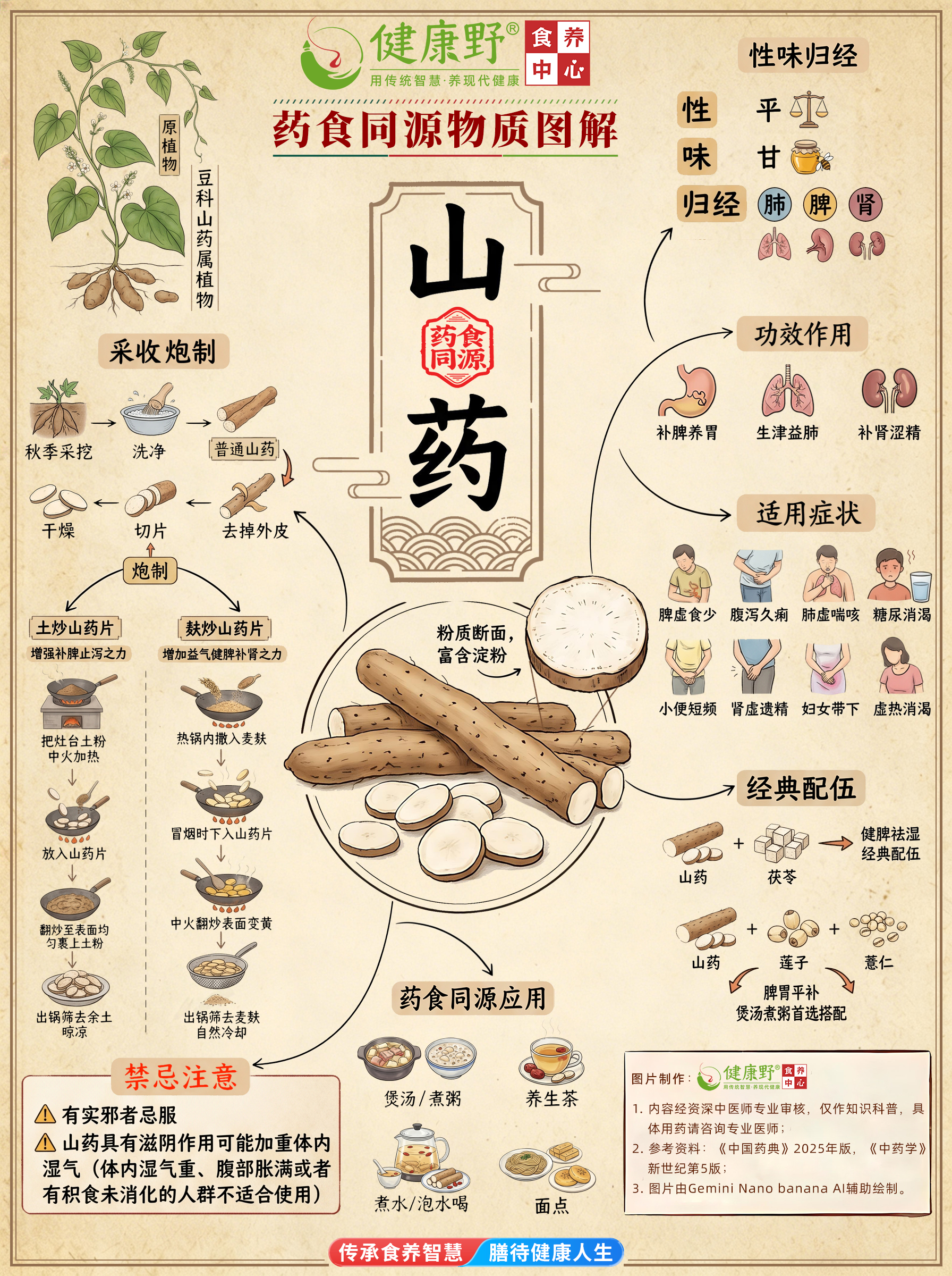 05山药.jpg